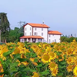 La Collinetta Crespellano