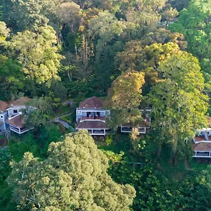 Resort The Tall Trees Munnar