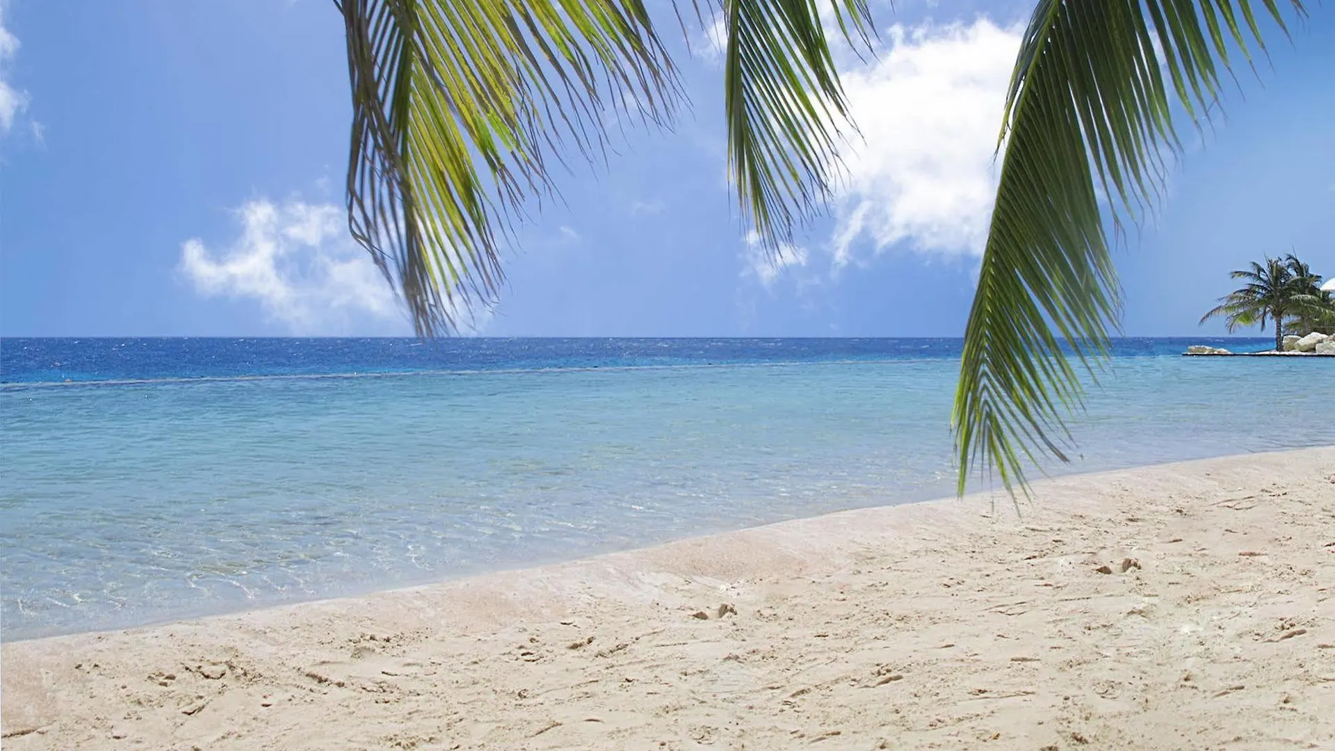 Papagayo Beach Resort (Adults Only) Willemstad 4*,  Curacao
